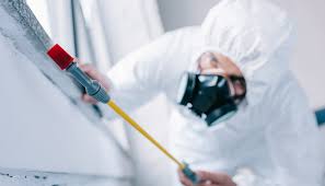 Best Residential Pest Control  in Pinedale, WY